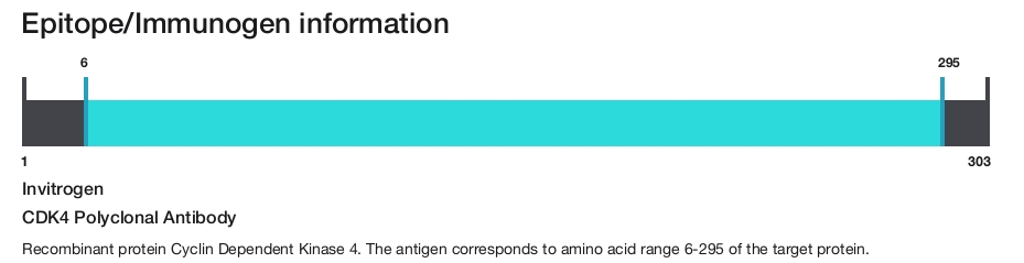 CDK4 Polyclonal Antibody