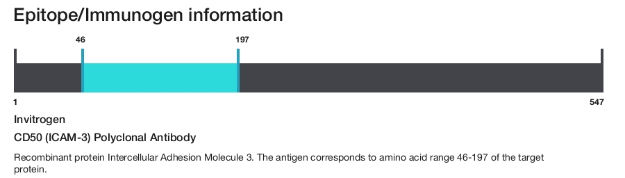 CD50 (ICAM-3) Polyclonal Antibody