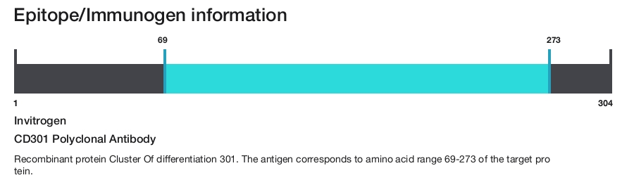 CD301 Polyclonal Antibody