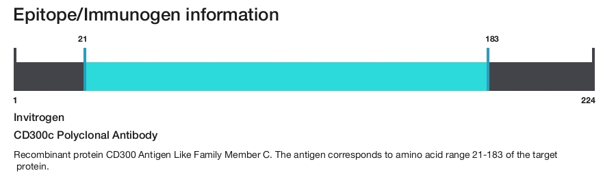 CD300c Polyclonal Antibody