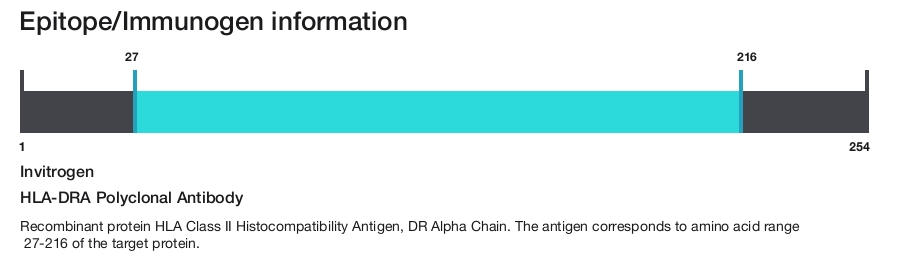 HLA-DRA Polyclonal Antibody