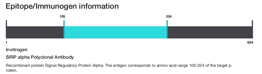 SIRP alpha Polyclonal Antibody