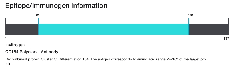 CD164 Polyclonal Antibody