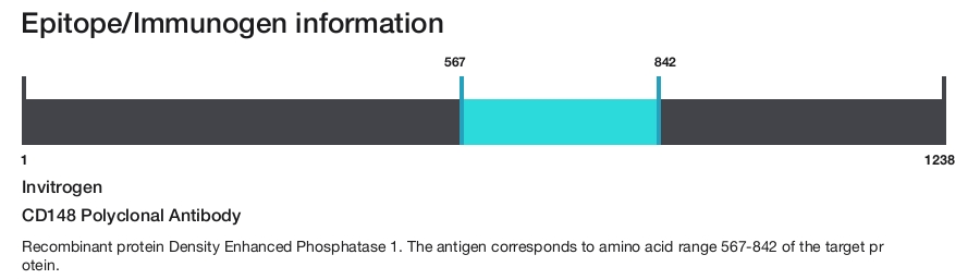 CD148 Polyclonal Antibody