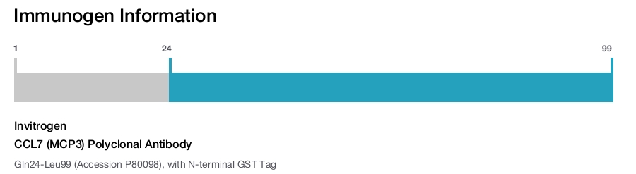 CCL7 (MCP3) Polyclonal Antibody