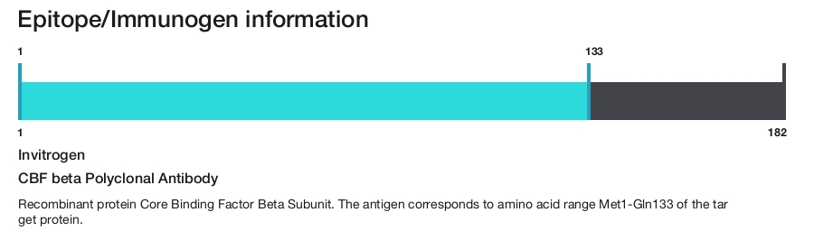 CBF beta Polyclonal Antibody