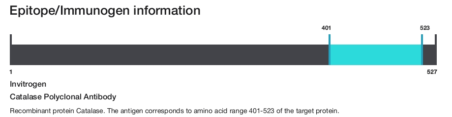 Catalase Polyclonal Antibody