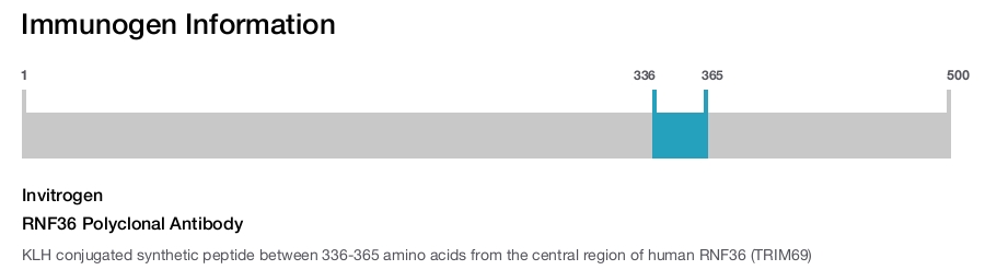 RNF36 Polyclonal Antibody