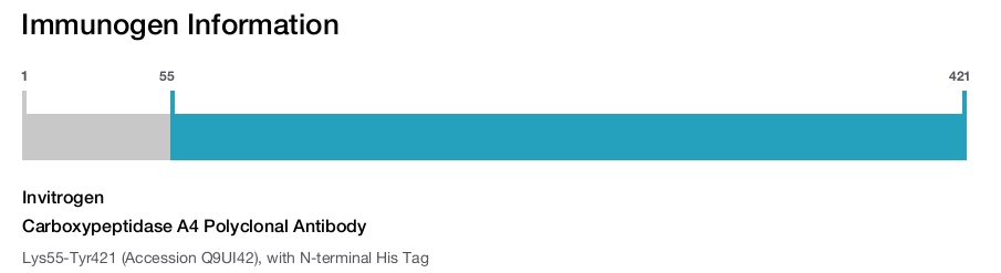 Carboxypeptidase A4 Polyclonal Antibody