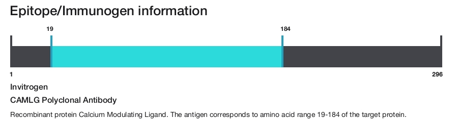 CAMLG Polyclonal Antibody