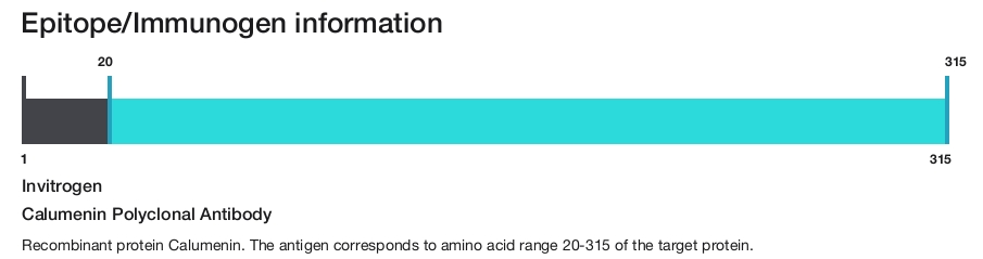 Calumenin Polyclonal Antibody