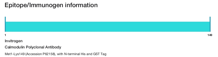 Calmodulin Polyclonal Antibody
