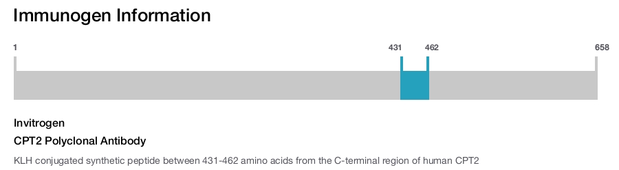 CPT2 Polyclonal Antibody
