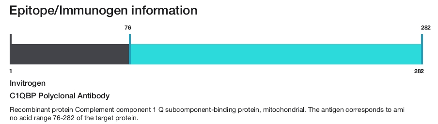C1QBP Polyclonal Antibody