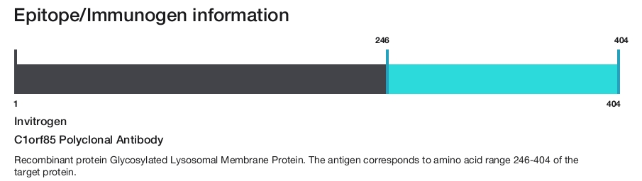 C1orf85 Polyclonal Antibody