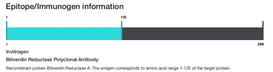 Biliverdin Reductase Polyclonal Antibody