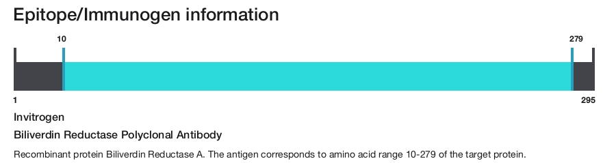 Biliverdin Reductase Polyclonal Antibody