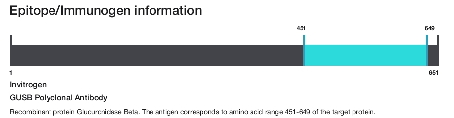 GUSB Polyclonal Antibody