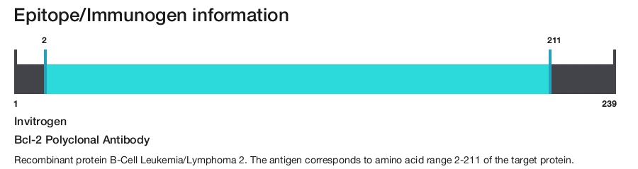 Bcl-2 Polyclonal Antibody