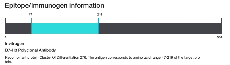 B7-H3 Polyclonal Antibody