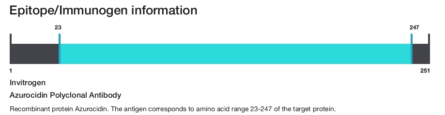 Azurocidin Polyclonal Antibody