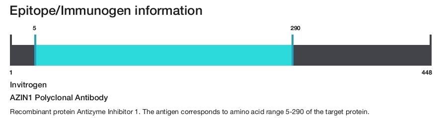 AZIN1 Polyclonal Antibody