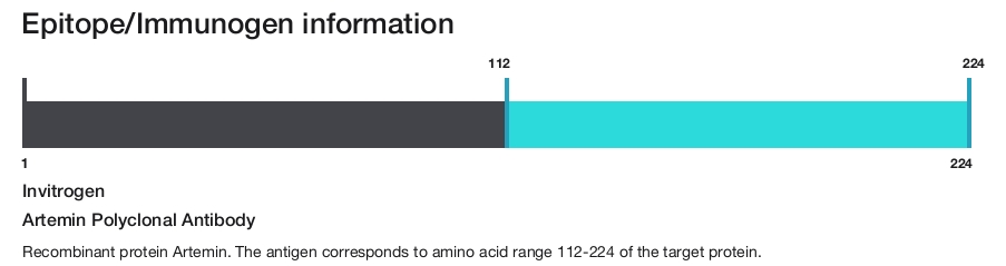 Artemin Polyclonal Antibody