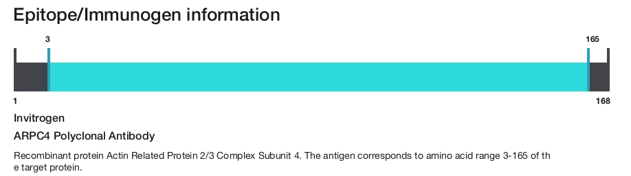 ARPC4 Polyclonal Antibody