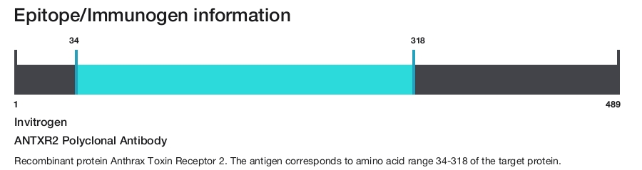 ANTXR2 Polyclonal Antibody