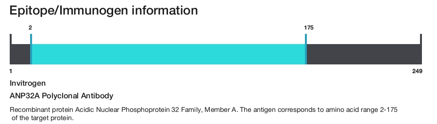 ANP32A Polyclonal Antibody