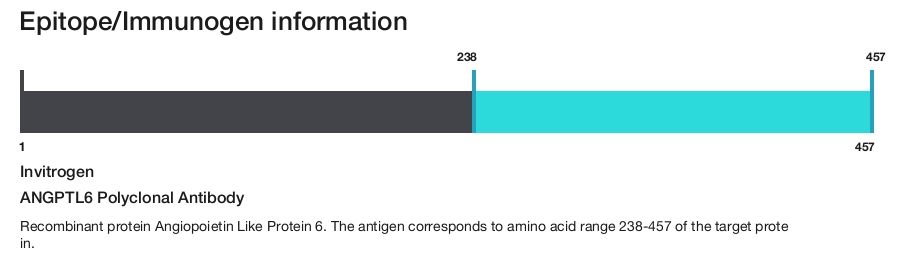 ANGPTL6 Polyclonal Antibody