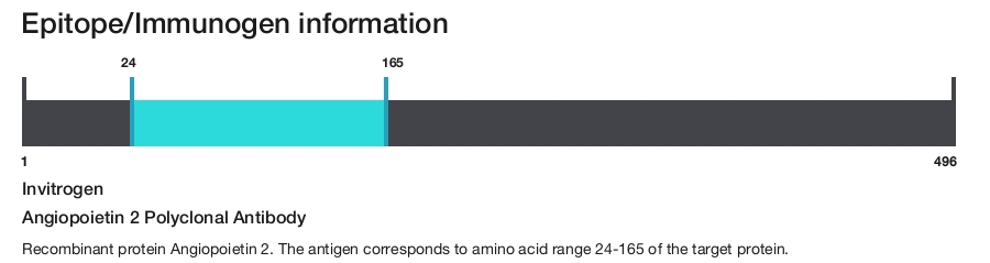 Angiopoietin 2 Polyclonal Antibody