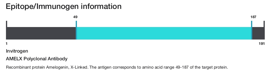 AMELX Polyclonal Antibody