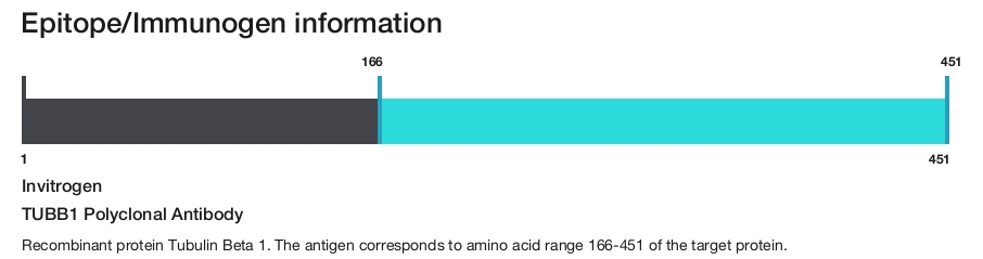 TUBB1 Polyclonal Antibody