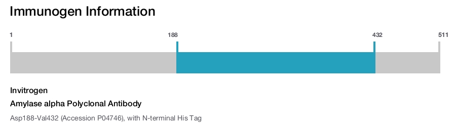 Amylase alpha Polyclonal Antibody
