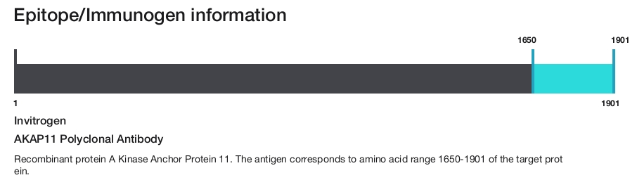 AKAP11 Polyclonal Antibody