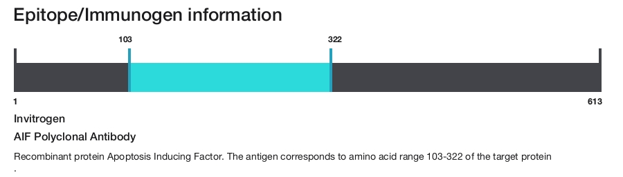 AIF Polyclonal Antibody
