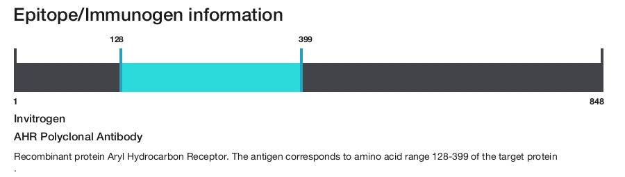 AHR Polyclonal Antibody