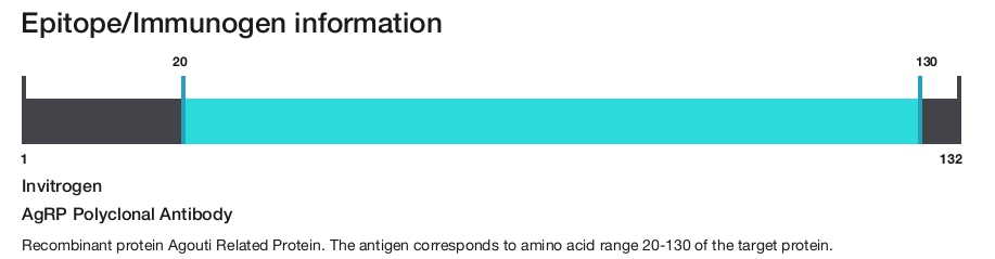 AgRP Polyclonal Antibody