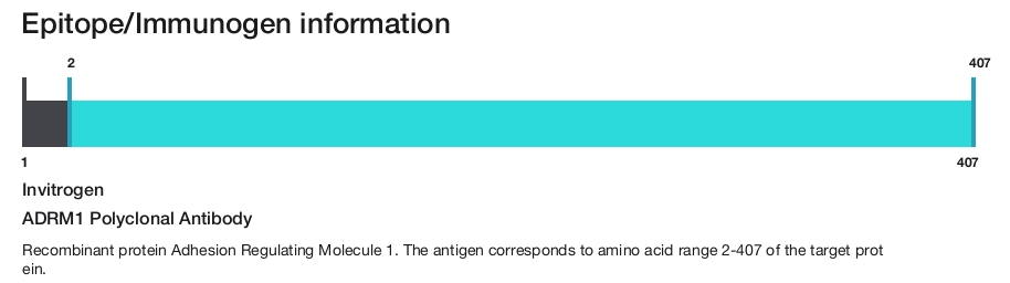 ADRM1 Polyclonal Antibody