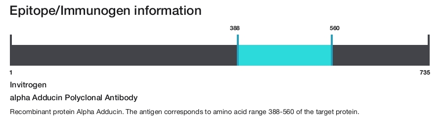 alpha Adducin Polyclonal Antibody