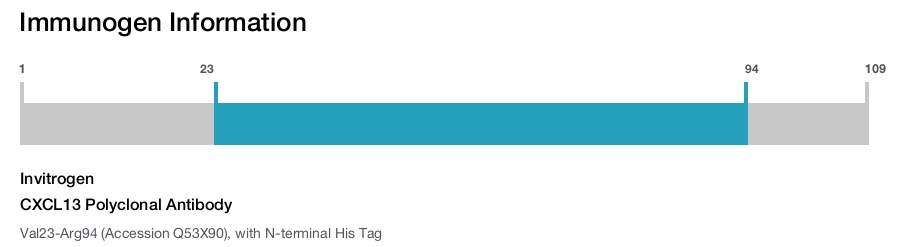 CXCL13 Polyclonal Antibody