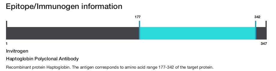 Haptoglobin Polyclonal Antibody