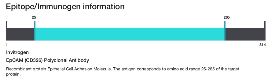 EpCAM (CD326) Polyclonal Antibody