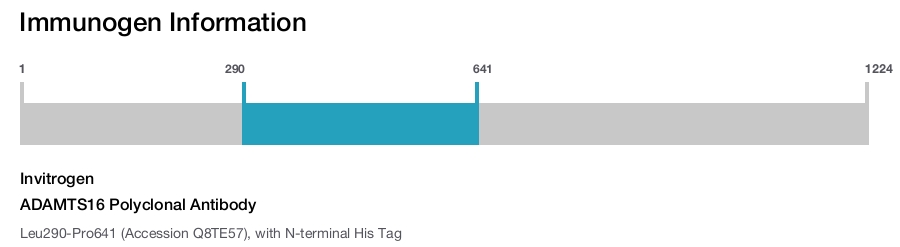 ADAMTS16 Polyclonal Antibody