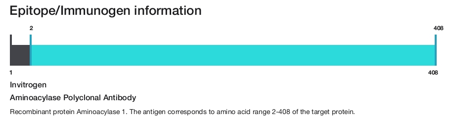 Aminoacylase Polyclonal Antibody
