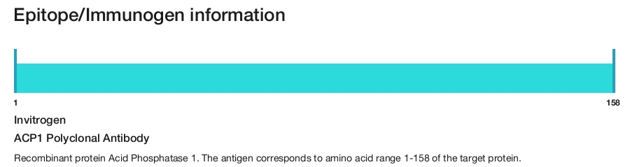 ACP1 Polyclonal Antibody
