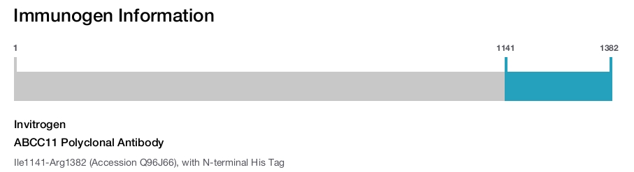 ABCC11 Polyclonal Antibody