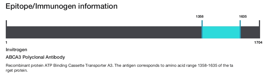 ABCA3 Polyclonal Antibody