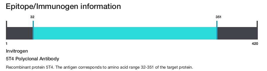 5T4 Polyclonal Antibody